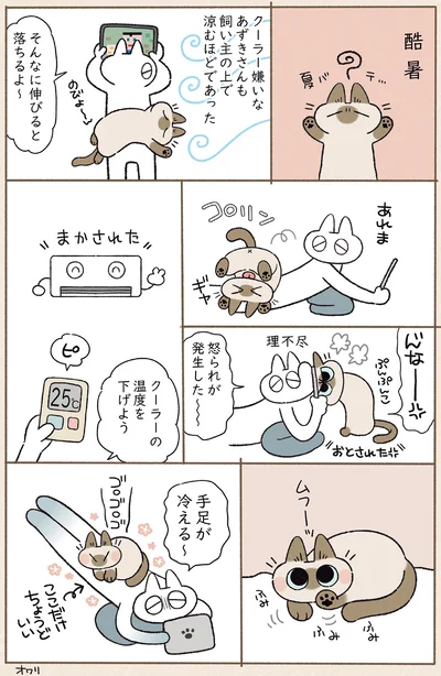 『やっぱり!!!!!　シャム猫あずきさんは世界の中心』より