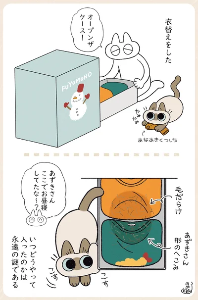 『やっぱり!!!!!　シャム猫あずきさんは世界の中心』より