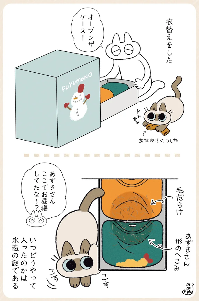 『やっぱり!!!!!　シャム猫あずきさんは世界の中心』より