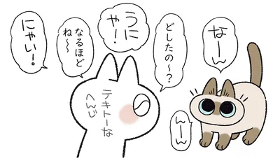 あずきさんはすごくおしゃべり