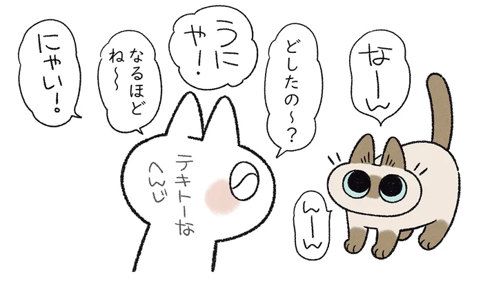 寝ててもおしゃべり？ 用がなくてもよく鳴くうちの猫が愛らしすぎます