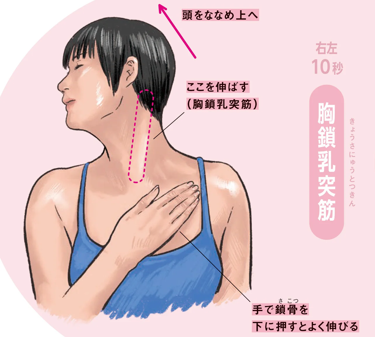肩関節 ガジェリー肩関節外科学 初診からリハビリテーションまで