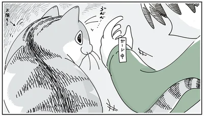飼い主と愛猫の攻防