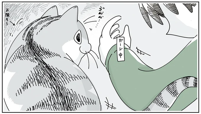 飼い主と愛猫の攻防