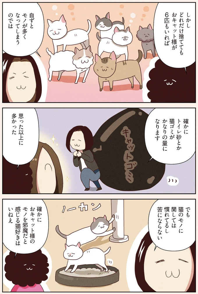 『オタクの断捨離 捨てられないオタクを救済！』より