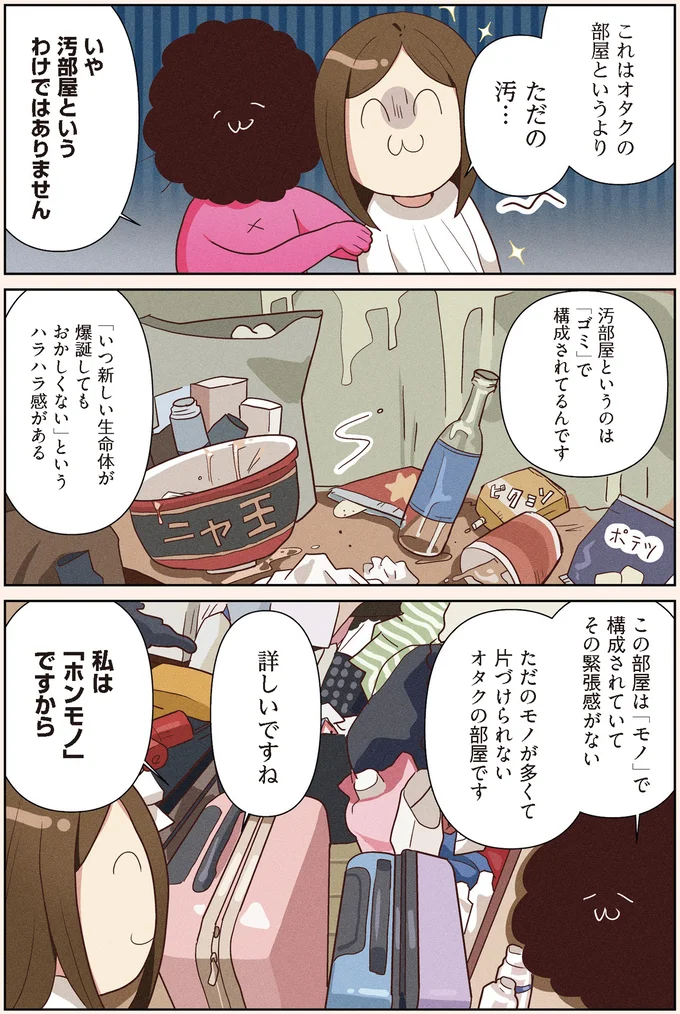 汚部屋というわけではありません