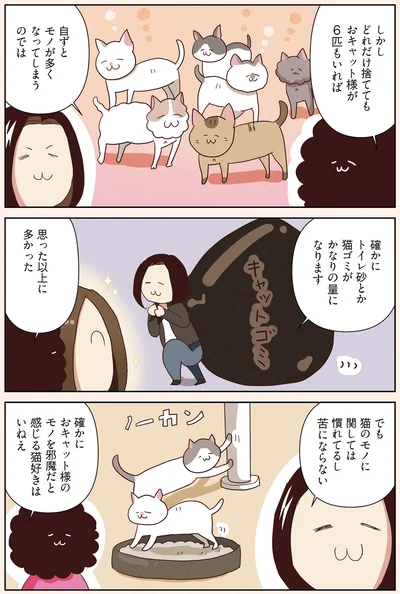 自ずとモノが多くなってしまうのでは