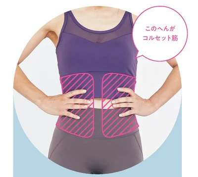 コルセット筋