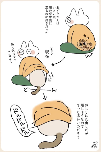 服の背中側に潜るのが好きなあずきさん