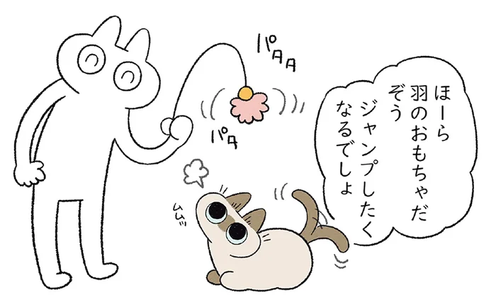 年々遊ばなくなる猫に運動させたい！ 羽のおもちゃで釣ろうとした結果
