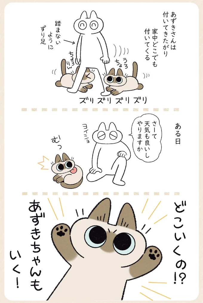 付いてきたがりあずきさん