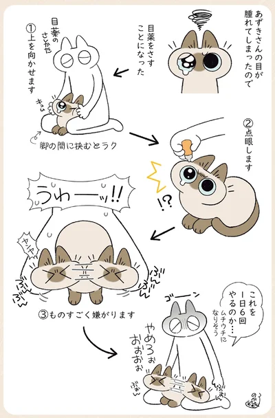 目薬をさすことになり