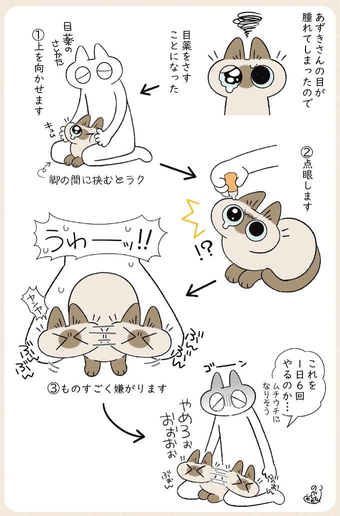 目薬をさすことになり