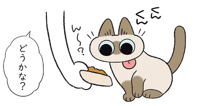 いつもと違う味のごはんに…