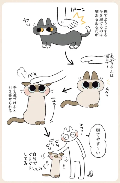 自分でぐりぐりしてる