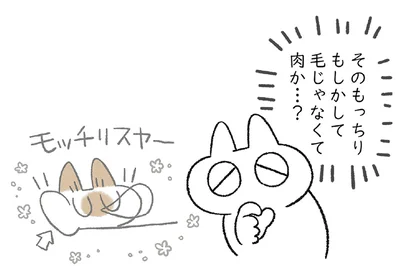 箱からはみでるもっちり…