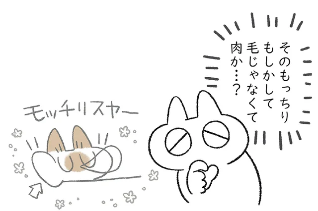 すっかり夏毛になった猫。箱からはみ出すもっちりほっぺが気になります！