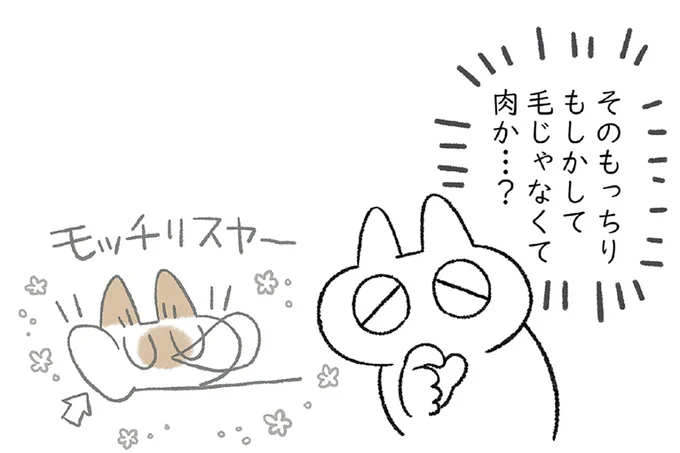 箱からはみでるもっちり…