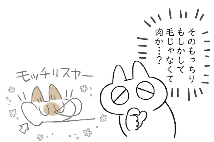 すっかり夏毛になった猫。箱からはみ出すもっちりほっぺが気になります！