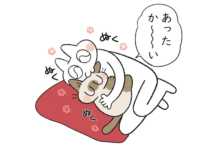 「あったか～い」暖房器具と猫のぬくぬくな誘惑には勝てません！
