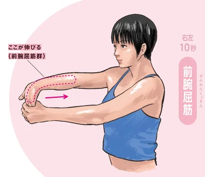 前腕屈筋群が伸びる