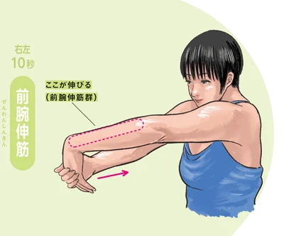前腕伸筋群が伸びる