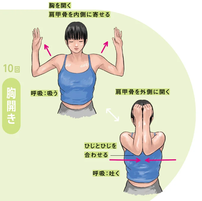 肩甲骨を外側に開く