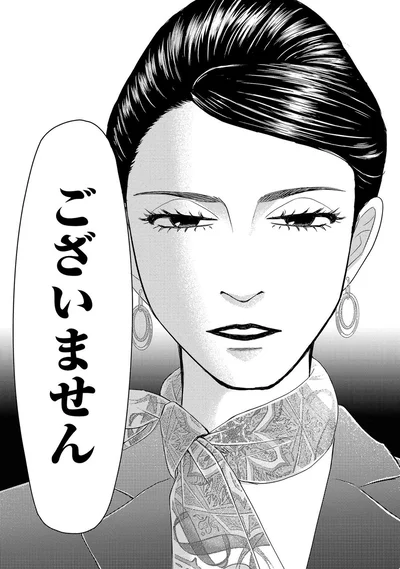 『ブラパト！ ブランドパトロール 本日も異常なし！』より