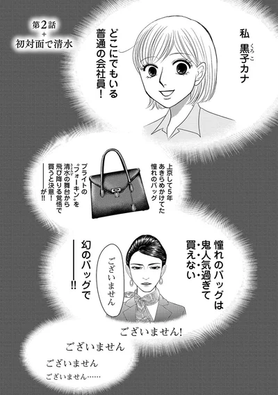 『ブラパト！ ブランドパトロール 本日も異常なし！』より