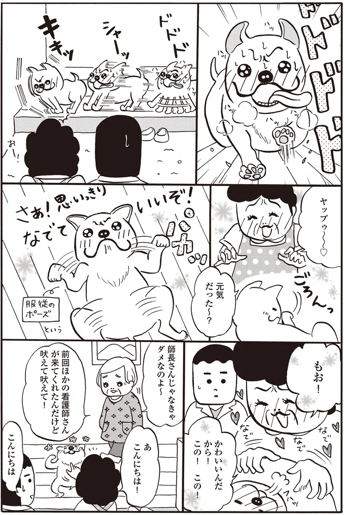 『離島で研修医やってきました。お医者さん修行中コミックエッセイ』より
