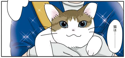 猫は…