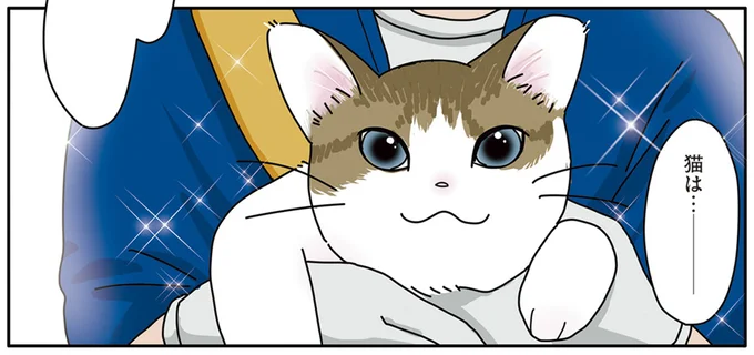 猫は…