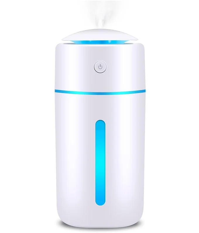 【2024新登場】 加湿器 卓上 小型 Type-C充電式