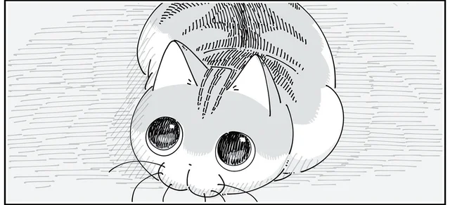 物を落とした？ 大きな音で様子を見に行くと、猫の目が泳いでいて