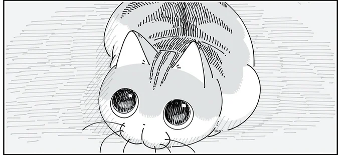 様子を見に行くと…