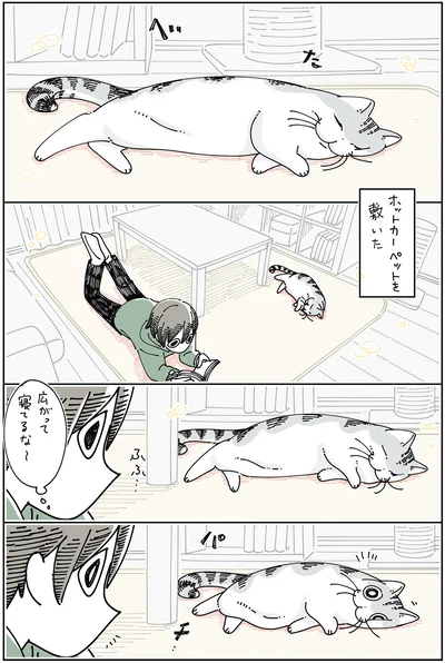 ホットカーペットを敷いた