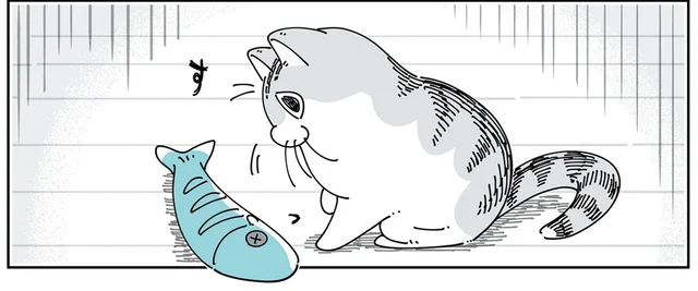 良かった、遊んでくれてる！ と思いきや、新しいおもちゃの前で静止する猫