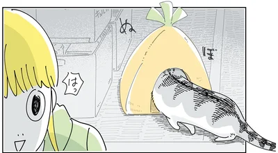 しまっていたベッドに…