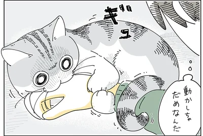 振りほどけない