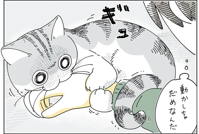 猫のしっぽが腕に巻き付く。少し不便だけど、可愛くて振りほどきたくない