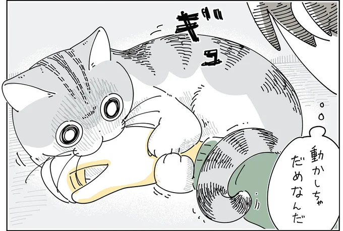 振りほどけない