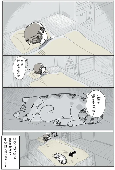 いなくなったと見せかけて