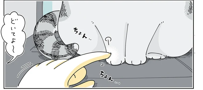 「どいてよ～」パソコンの上にいる猫をどかすための様々なやりかた