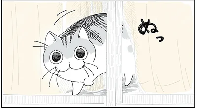 見送り…？