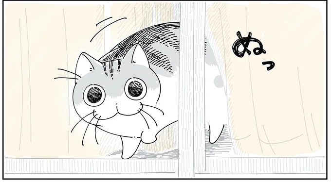 見送り…?