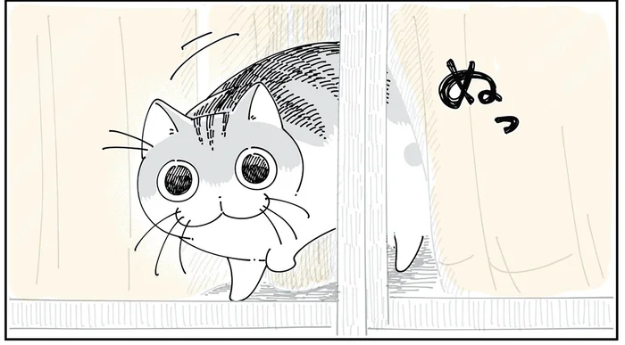 見送りに来たわけじゃない？ 飼い主を「知らない人」判定した猫の話