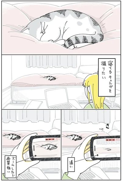 寝ている姿を撮りたい