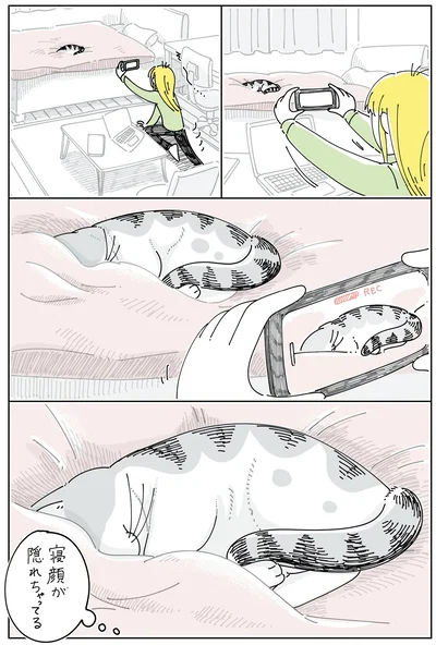 寝顔が隠れちゃってる