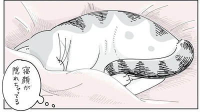 スヤスヤ…