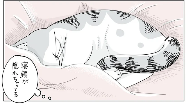 寝てると思ってた！ スヤスヤな猫を撮影しようと近づいた結果